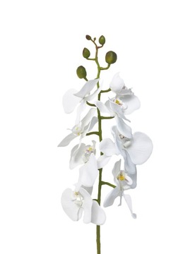 STORCZYK BIAŁY ORCHIDEA SZTUCZNE KWIATY GAŁĄZKA 75