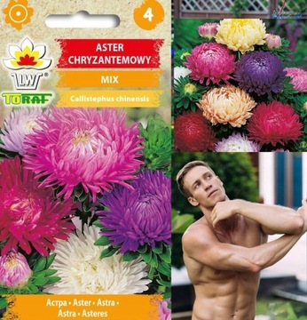 Aster chryzantemowy MIX DUŻYCH KWIATÓW 1 g