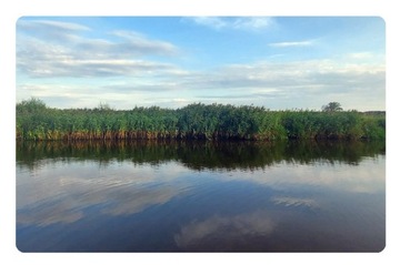 Magnes na lodówkę Narew rzeka podlasie