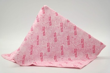 Очиститель солнечных лучей Розовый 38x41 см (420) Raypath -