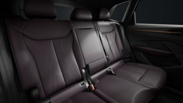 Cupra Terramar SUV 2.0 TSI 265KM 2026 Cupra Terramar VZ 2.0 TSI 265 KM DSG 4Drive, zdjęcie 10