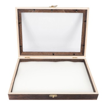 Pudełko na okazy owadów do terrarium