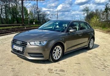 Audi A3 8V Cabriolet 1.6 TDI clean diesel 110KM 2014 Audi A3 Audi A3 1.6 TDI Sportback ultra Attraction