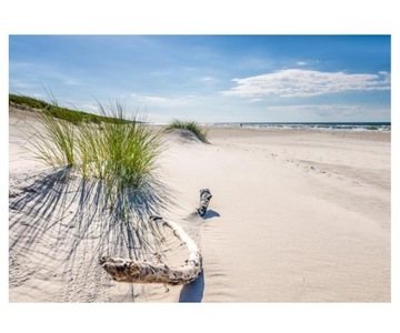 Fototapeta 312x219cm Mrzeżyno, plaża