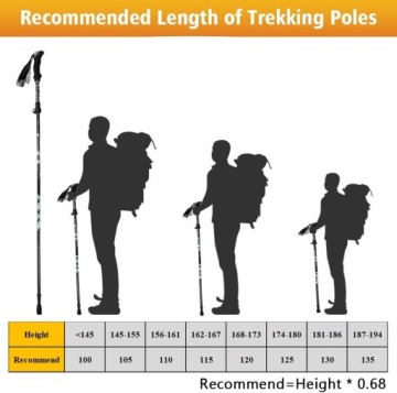 ТРЕККИНГОВЫЕ ПАЛКИ СКЛАДНЫЕ ИЗ УГЛЕРОДА 105-137 СМ ЭРГОНОМИЧНЫЙ НАБОР