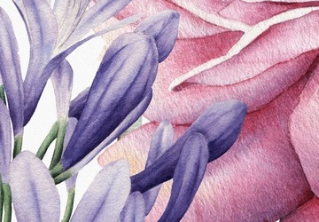 ДЕРЕВЯННАЯ РЕСТОРАННАЯ ЭКРАНА b-B-0379-z-c_sj