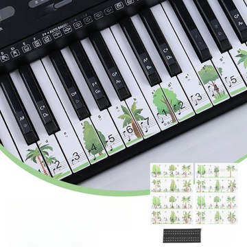СЪЕМНЫЕ ЭТИКЕТКИ НАКЛЕЙКИ НА ПИАНИНО ДЛЯ НАЧИНАЮЩИХ НАКЛЕЙКИ НА КЛАВИАТУРУ ДЛЯ ДЕТЕЙ