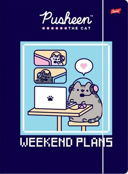 ТРАНСЛЯЦИЯ С ЛАСТИКОМ А4 PUSHIN МИКС УЗОРОВ 1 штука КОШКА