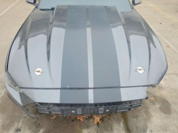 Ford Mustang VI Fastback Facelifting 5.0 Ti-VCT 450KM 2020 Ford Mustang Gt 2020 5.0 Benzyna 450KM, zdjęcie 5