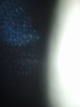 Renault Clio IV Hatchback 5d ENERGY TCe 99g 90KM 2015 Renault Clio RENAULT CLIO 900 TCE benzyna zarejestrowane w kraju Benzyna, zdjęcie 34