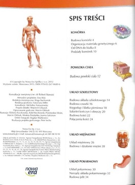 Анатомический атлас. Тайны тела М.