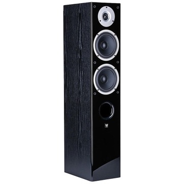 WILSON RAPTOR 5 НАПОЛЬНЫЕ HI-FI КОЛОНКИ
