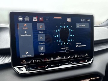 Cupra Terramar SUV 2.0 TSI 265KM 2025 Cupra Terramar DSG Kubelki Pamiec foteli Kamera 360 Hak Gwarancja Faktura, zdjęcie 21