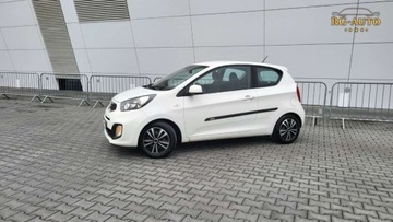 Kia Picanto II Hatchback 5d 1.0 69KM 2012 Kia Picanto 1.0B Lift Serwis Oryginal 221Tkm G..., zdjęcie 12