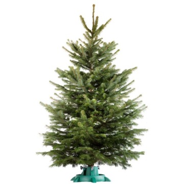 ПОДСТАВКА ДЛЯ РОЖДЕСТВЕНСКОЙ ЕЛКИ ВЫСОЙ ДО 3М