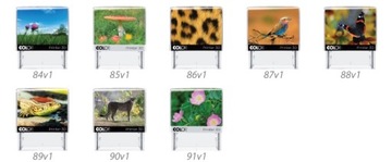 Принтер COLOP IQ штамп C30 47x18мм