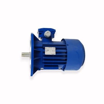 SILNIK ELEKTRYCZNY 2SIEK 80-2B 1,1 kW 2840 obr