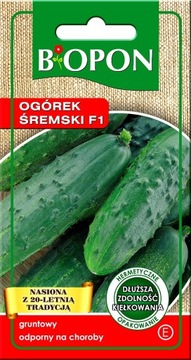 Ogórek Śremski F1 nasiona 4g Biopon najlepsze ogórki do kiszenia konserwowe
