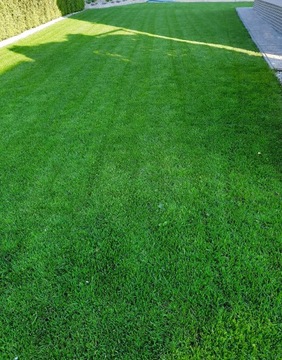 MAGVIT Углеводы Аминокислоты для газона для газонной травы