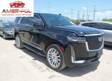 Cadillac Escalade III 2024 Cadillac Escalade Luxury 2024 6.2l 6.2 Benzyna 420KM