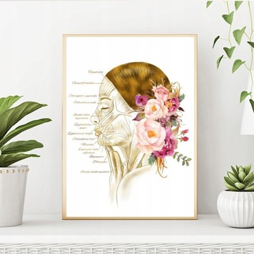 Современная HD-печать карты мышц лица женщины Medica