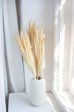 ТРАВА ЛЕСНАЯ СУШЕННАЯ, БЕЛЕННАЯ, сушеные декоративные травы