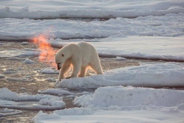 Карта памяти SanDisk EXTREME 64 ГБ, 170 МБ/с SDXC U3