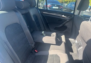 Volkswagen Golf VII Variant 1.6 TDI BlueMotion Technology 110KM 2016 Volkswagen Golf 2016r 1.6 Diesel 110KM, zdjęcie 11
