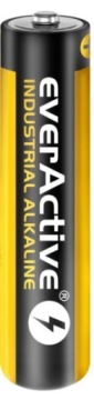 Промышленная батарея LR03 / AAA everActive (40 шт. в упаковке)