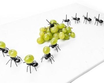Вечеринка ANTS для закусок
