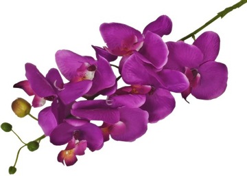 STORCZYK ORCHIDEA GAŁĄZKA 7 KWIATÓW 78cm