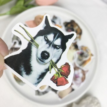 100 шт., забавные милые животные, кошка, собака, Mem