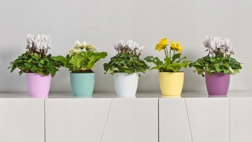 КРЫШКА НА ЦВЕТОЧНЫЙ ВАЗ 18см ЦВЕТОЧНЫЙ ГОРШОК НА ПОДСТАВКЕ, БЕЛЫЙ ДЛЯ ГОСТИНОЙ