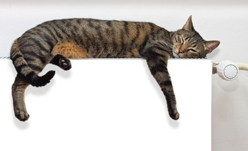 МАГНИТНАЯ КРЫШКА РАДИАТОРА 100х60 БЕЛЫЕ ФОТОБОИ