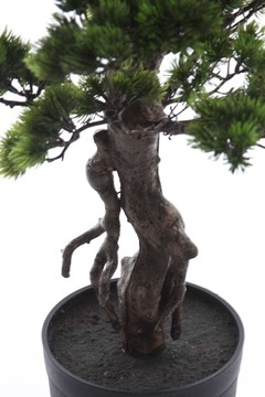 красивая высокая искусственная сосна BONSAI Pinia 140 см