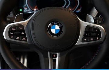 BMW X3 G01 M SUV Facelifting 3.0 M40i 360KM 2024 BMW X3 xM40i Suv 3.0 (360KM) 2024, zdjęcie 4