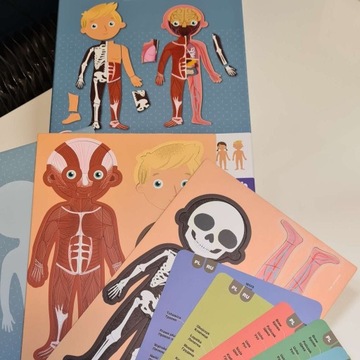 Магнитная головоломка Apli Kids для человеческого тела