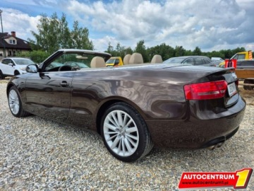 Audi A5 8T Cabriolet 2.0 TDI 170KM 2011 Audi A5 Cabrio Cabrio Brazowa Perla Alufelgi Alcantara Jasny Srodek E, zdjęcie 4