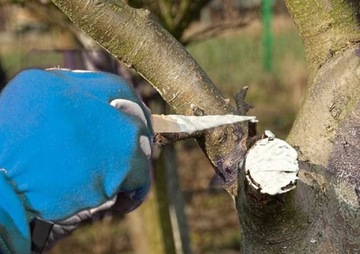 Садоводческая мазь Bros 395 Коро-Дерма 1 кг