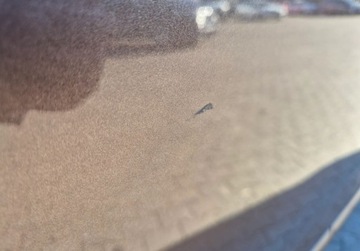 Toyota Proace II 2023 Toyota ProAce 77 500 zl netto, Proace Verso LONG, Business Pakiet Comfort, zdjęcie 30