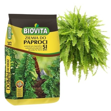 ZIEMIA podłoże DO PAPROCI domowej paprotek 5L