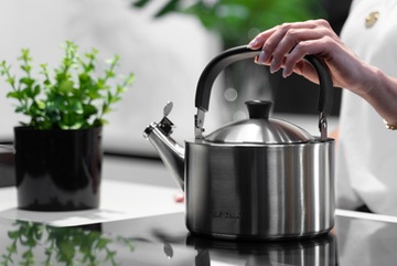 Гидж с вилкой с свистком стальной матовой индукцией серебра 1,5 л.