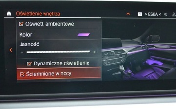 BMW Seria 5 G30-G31 Limuzyna 520i 184KM 2020 BMW Seria 5 20i Dostawa pod dom w cenie Dealer BMW Bonkowscy 2.0 Benzyna, zdjęcie 24