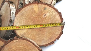 СРЕЗ ДЕРЕВА, ШТАМП БЕРЕЗА 18-22СМ, 1 ШТ.