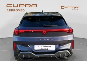 Cupra Terramar SUV 1.5 eTSI 150KM 2025 Cupra Terramar Pakiety, SENNHEISER, Sportowe fotele, ACC, Panorama, Bezwy, zdjęcie 13