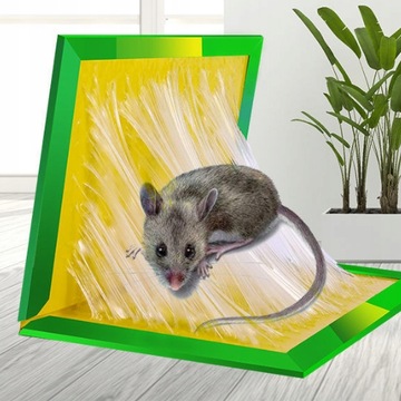 Леп для крыс, мышей, грызунов, леп-ловушка, мышеловка, 20 шт., ловушка + бесплатно