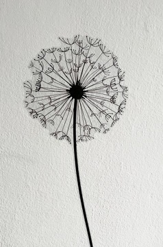 НАСТЕННЫЕ НАКЛЕЙКИ Одуванчики N9