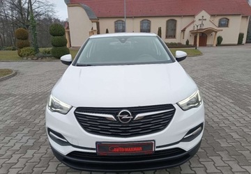Opel 2018 Opel Grandland X Pierwszy wlasciciel - bezwypadkowy - serwisowany - polecam, zdjęcie 1