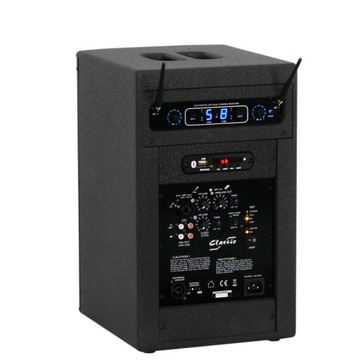 LDM PSS-Classic/D216 +1MIC KOLUMNA AKTYWNA 12V BT