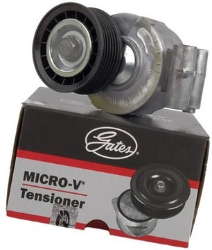 GATES NAPINACZ PASKA VOLVO S40 II V50 1.8 2.0